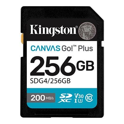MEM SD 256GB Canvas Go! Plus Kingston SDG4/256GB